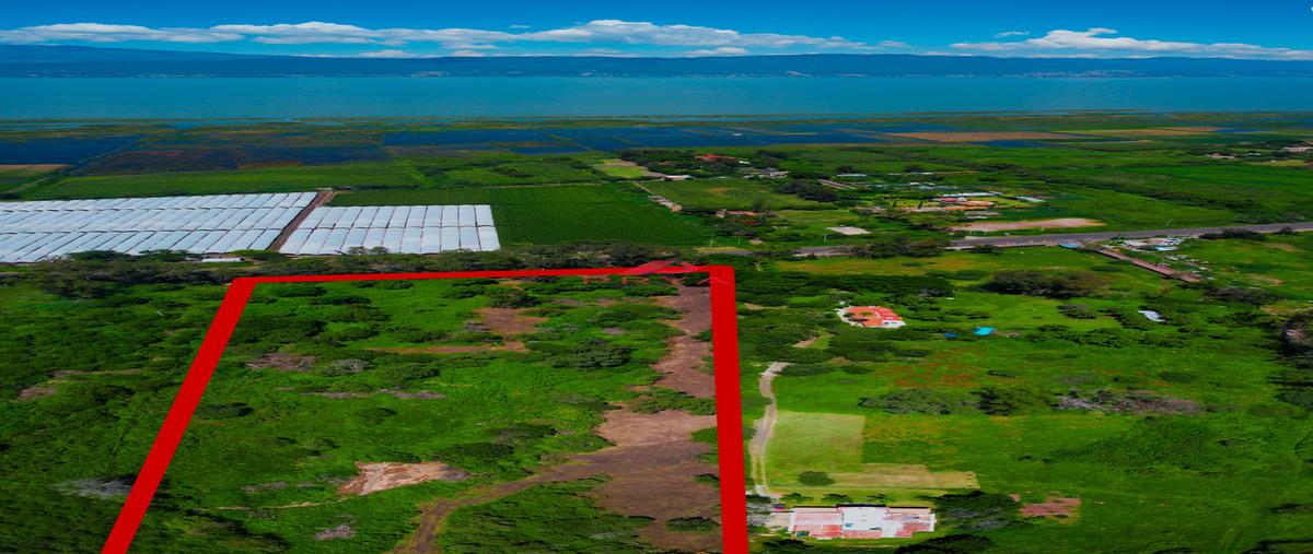 Foto de terreno habitacional en venta en rancho los mangos , san pedro tesistán, jocotepec, jalisco, 30369920 No. 05