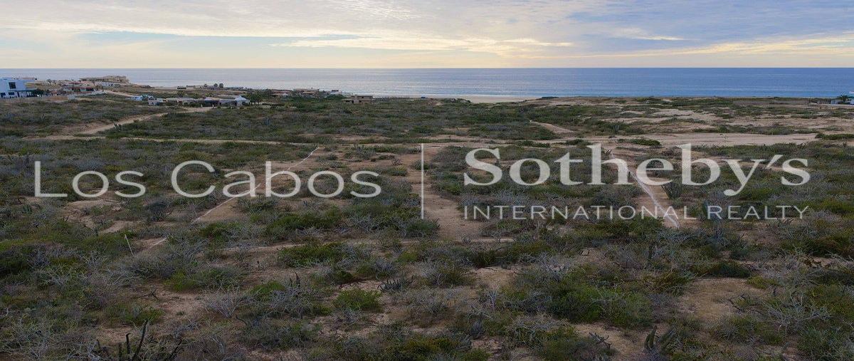 Foto de terreno habitacional en rancho margaritas , buenavista, los cabos, baja california sur, 0 foto 07 Foto de terreno habitacional en venta en rancho margaritas , buenavista, los cabos, baja california sur, 0 No. 07
