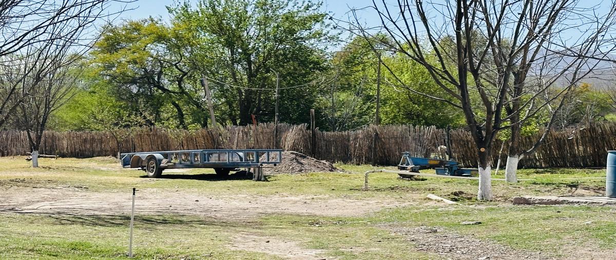 Foto de rancho en venta en rancho nogales , 6 de enero, lerdo, durango, 31147709 No. 05