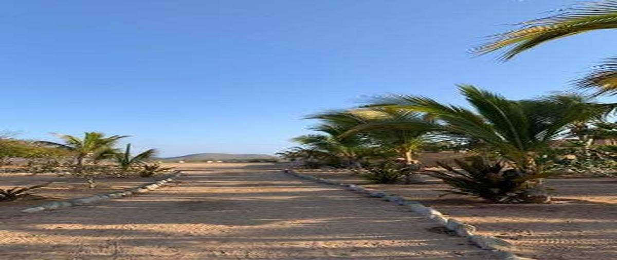Foto de terreno habitacional en rancho nuevo , pescadero, la paz, baja california sur, 28687724 foto 04 Foto de terreno habitacional en venta en rancho nuevo , pescadero, la paz, baja california sur, 28687724 No. 04