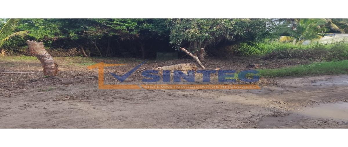 Foto de terreno habitacional en venta en  , rancho nuevo, san juan evangelista, veracruz de ignacio de la llave, 0 No. 03