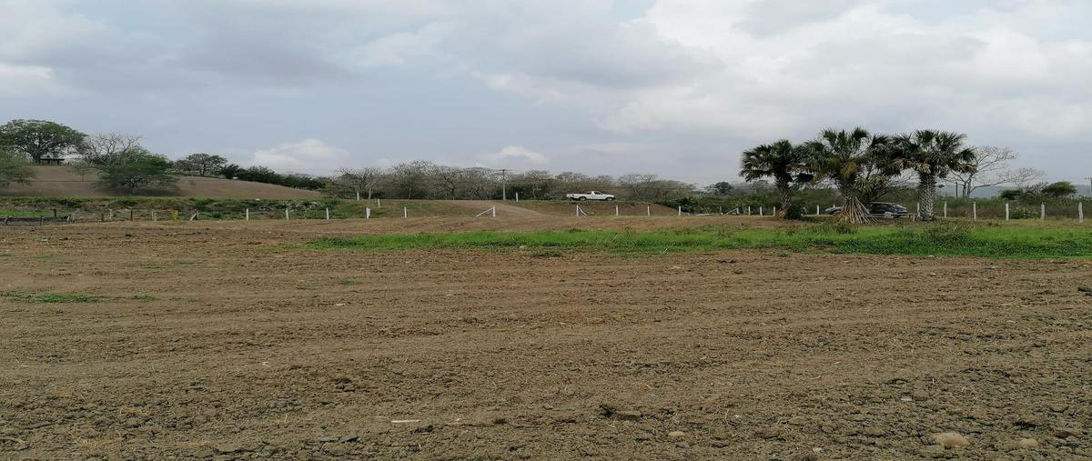 Foto de terreno habitacional en renta en  , rancho nuevo, tantoyuca, veracruz de ignacio de la llave, 20436327 No. 03