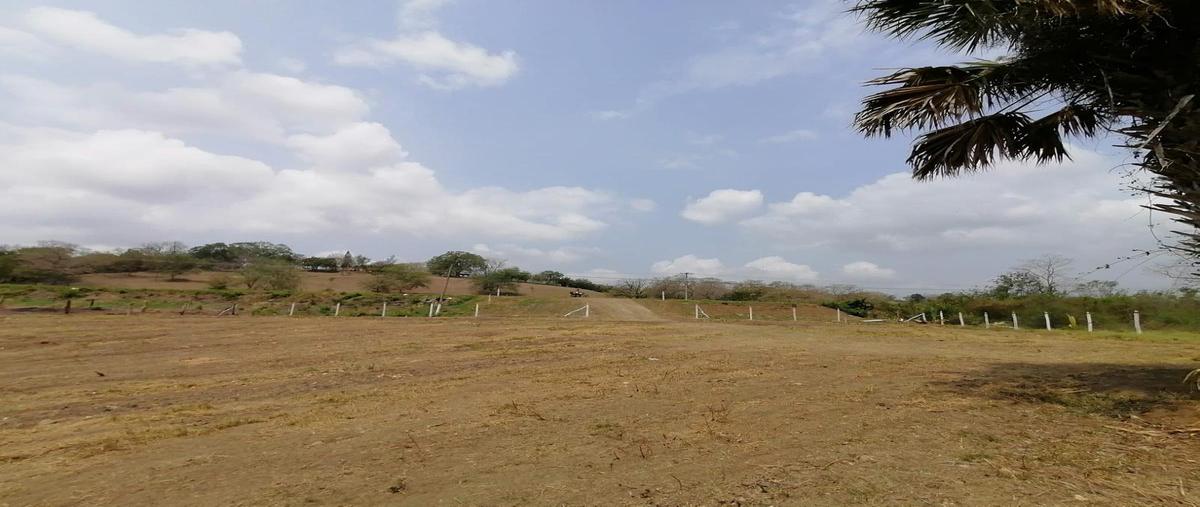 Foto de terreno habitacional en renta en  , rancho nuevo, tantoyuca, veracruz de ignacio de la llave, 20436327 No. 04