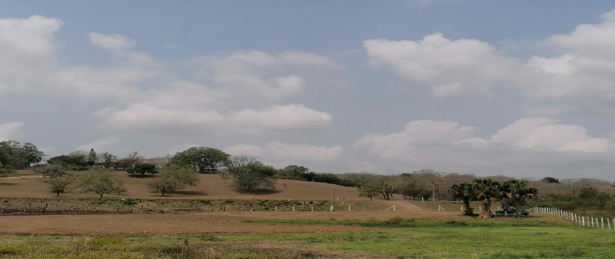 Foto de terreno habitacional en renta en  , rancho nuevo, tantoyuca, veracruz de ignacio de la llave, 20436327 No. 05