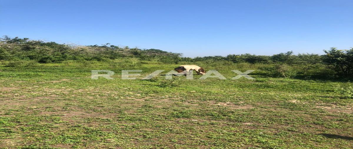 Foto de terreno comercial en venta en rancho nuevo , úrsulo galvan, tihuatlán, veracruz de ignacio de la llave, 0 No. 03