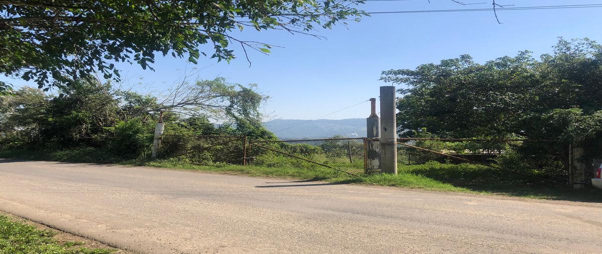 Foto de terreno comercial en rancho nuevo , úrsulo galvan, tihuatlán, veracruz de ignacio de la llave, 28174329 foto 01 Foto de terreno comercial en renta en rancho nuevo , úrsulo galvan, tihuatlán, veracruz de ignacio de la llave, 28174329 No. 01