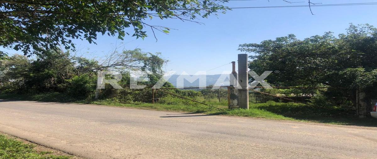 Foto de terreno comercial en rancho nuevo , úrsulo galvan, tihuatlán, veracruz de ignacio de la llave, 0 foto 01 Foto de terreno comercial en renta en rancho nuevo , úrsulo galvan, tihuatlán, veracruz de ignacio de la llave, 0 No. 01