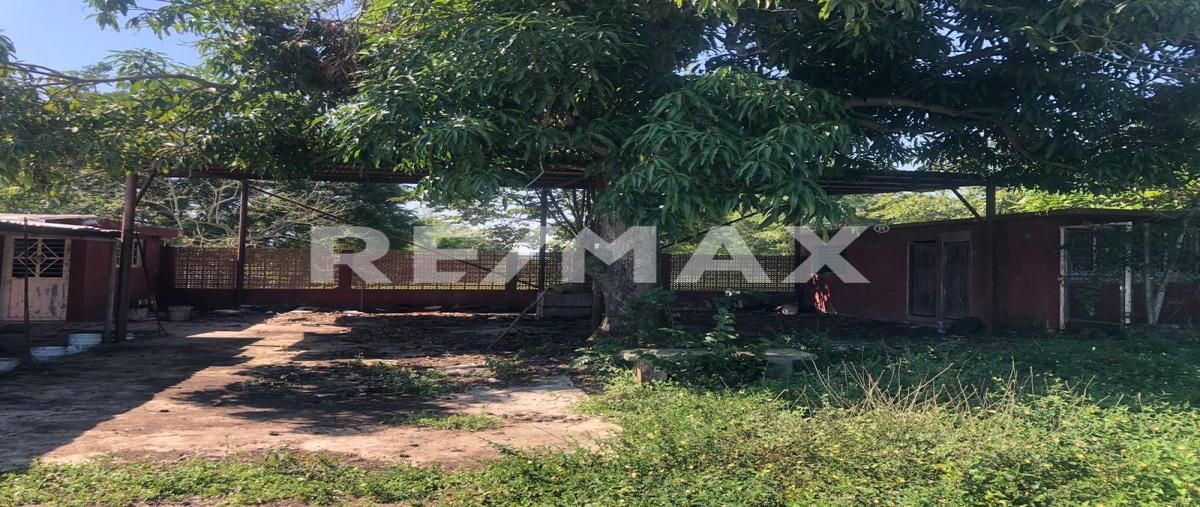 Foto de terreno comercial en rancho nuevo , úrsulo galvan, tihuatlán, veracruz de ignacio de la llave, 0 foto 03 Foto de terreno comercial en renta en rancho nuevo , úrsulo galvan, tihuatlán, veracruz de ignacio de la llave, 0 No. 03