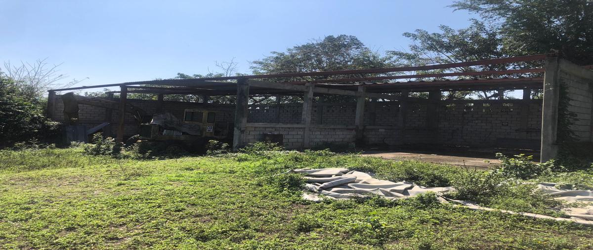 Foto de terreno comercial en rancho nuevo , úrsulo galvan, tihuatlán, veracruz de ignacio de la llave, 28174329 foto 04 Foto de terreno comercial en renta en rancho nuevo , úrsulo galvan, tihuatlán, veracruz de ignacio de la llave, 28174329 No. 04