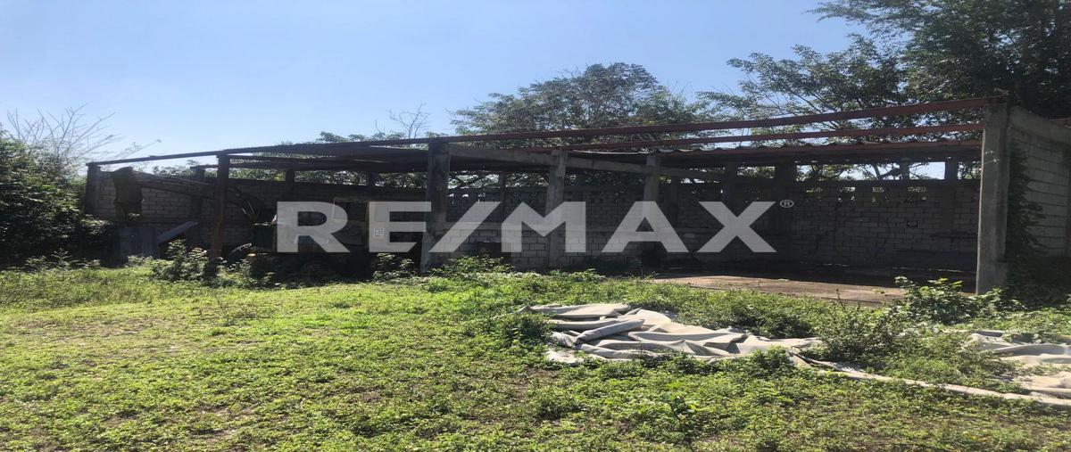 Foto de terreno comercial en rancho nuevo , úrsulo galvan, tihuatlán, veracruz de ignacio de la llave, 0 foto 04 Foto de terreno comercial en renta en rancho nuevo , úrsulo galvan, tihuatlán, veracruz de ignacio de la llave, 0 No. 04