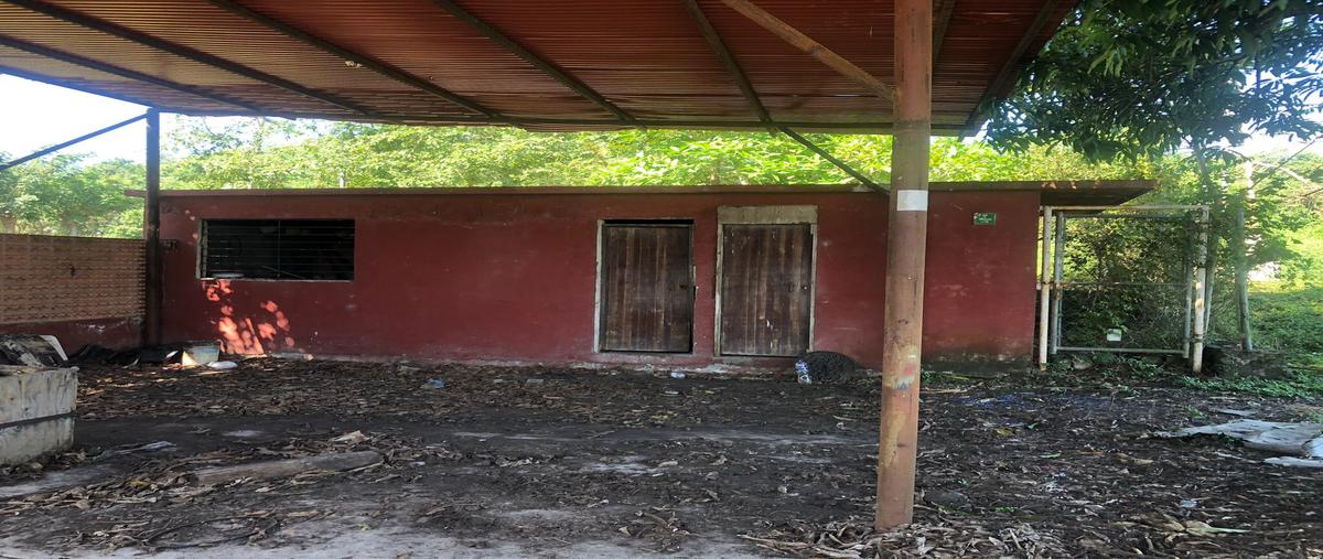 Foto de terreno comercial en rancho nuevo , úrsulo galvan, tihuatlán, veracruz de ignacio de la llave, 28174329 foto 05 Foto de terreno comercial en renta en rancho nuevo , úrsulo galvan, tihuatlán, veracruz de ignacio de la llave, 28174329 No. 05