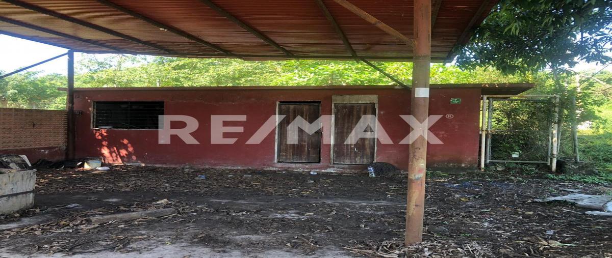 Foto de terreno comercial en rancho nuevo , úrsulo galvan, tihuatlán, veracruz de ignacio de la llave, 0 foto 05 Foto de terreno comercial en renta en rancho nuevo , úrsulo galvan, tihuatlán, veracruz de ignacio de la llave, 0 No. 05