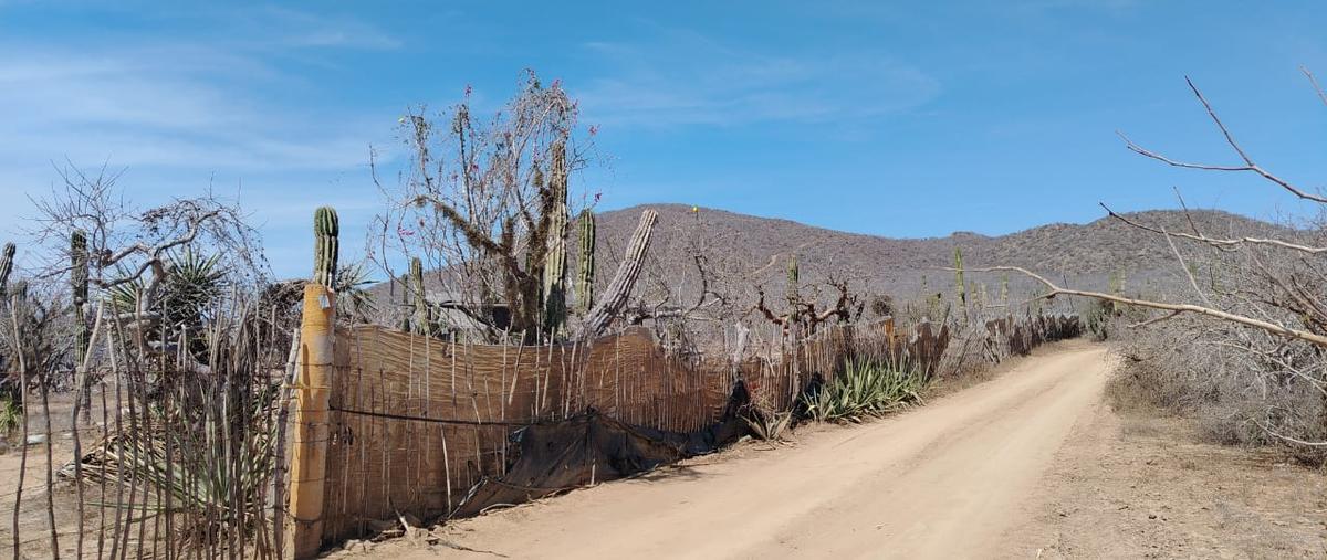 Foto de rancho en venta en rancho roca viva , pescadero, la paz, baja california sur, 31510459 No. 03