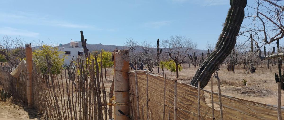 Foto de rancho en venta en rancho roca viva , pescadero, la paz, baja california sur, 31510459 No. 04