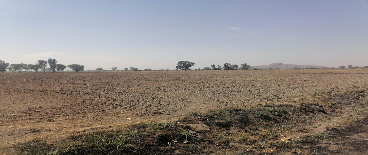 Foto de terreno habitacional en , rancho san antonio (col. álvaro obregón), colón, querétaro, 0 foto 05 Foto de terreno habitacional en venta en , rancho san antonio (col. álvaro obregón), colón, querétaro, 0 No. 05