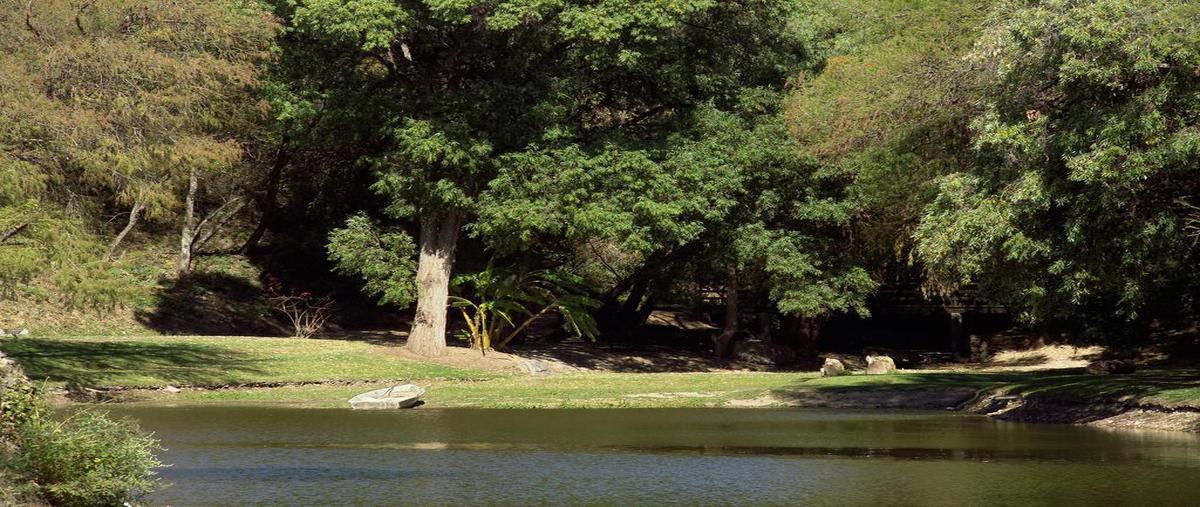 Foto de terreno habitacional en , rancho san diego, ixtapan de la sal, méxico, 27253409 foto 01 Foto de terreno habitacional en venta en , rancho san diego, ixtapan de la sal, méxico, 27253409 No. 01