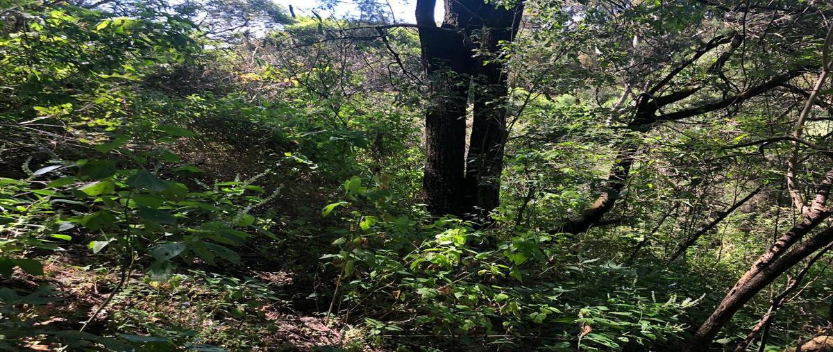 Foto de terreno habitacional en , rancho san diego, ixtapan de la sal, méxico, 27253409 foto 03 Foto de terreno habitacional en venta en , rancho san diego, ixtapan de la sal, méxico, 27253409 No. 03