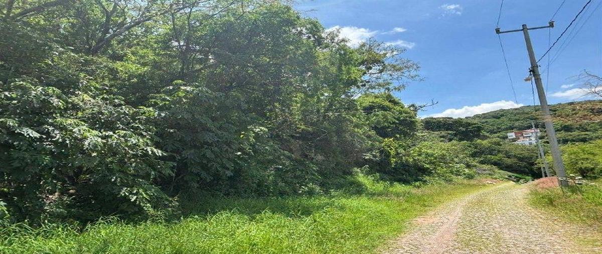 Foto de terreno habitacional en venta en  , rancho san diego, ixtapan de la sal, méxico, 30674162 No. 03