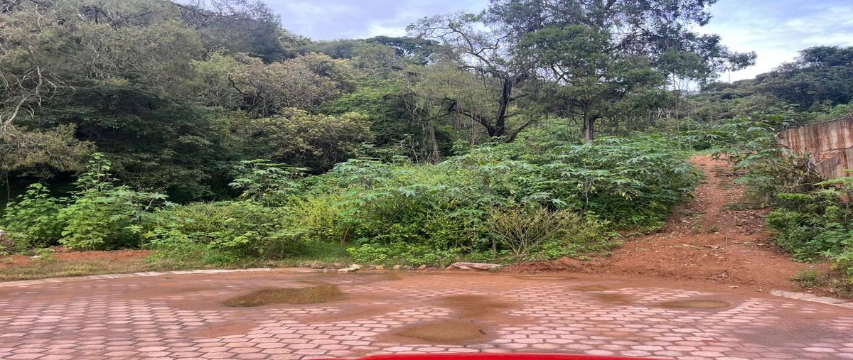 Foto de terreno habitacional en venta en  , rancho san diego, ixtapan de la sal, méxico, 30674164 No. 03