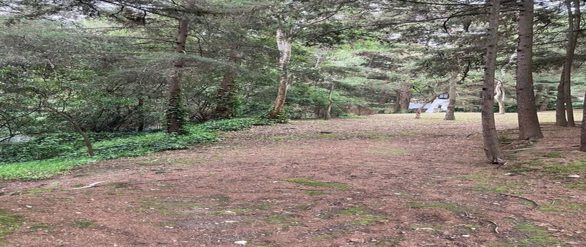Foto de terreno habitacional en venta en  , rancho san francisco pueblo san bartolo ameyalco, álvaro obregón, df / cdmx, 27951418 No. 03