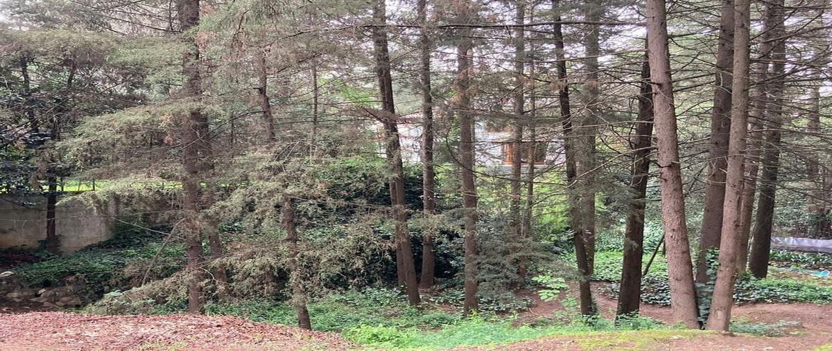 Foto de terreno habitacional en venta en  , rancho san francisco pueblo san bartolo ameyalco, álvaro obregón, df / cdmx, 27951418 No. 04