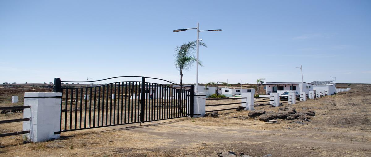 Foto de rancho en venta en rancho san gabrielel sauzal , el sauzal, ensenada, baja california, 28790281 No. 05