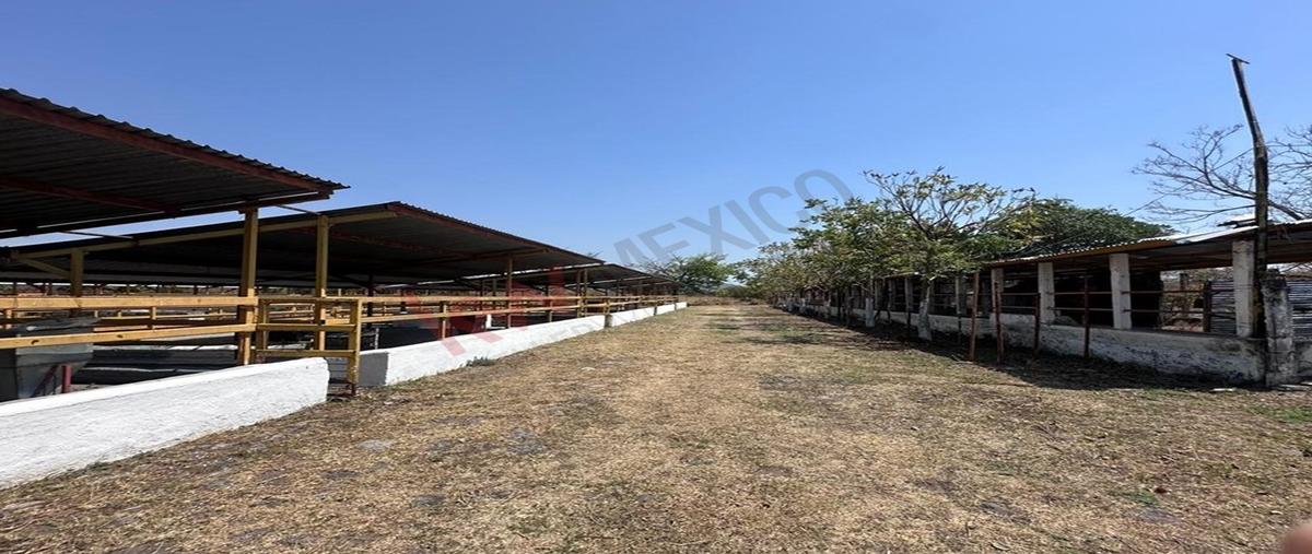 Foto de rancho en rancho san ignacio , tetecala, tetecala, morelos, 0 foto 01 Foto de rancho en venta en rancho san ignacio , tetecala, tetecala, morelos, 0 No. 01