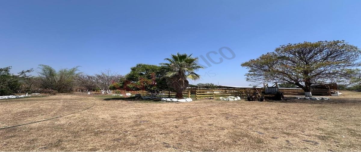 Foto de rancho en rancho san ignacio , tetecala, tetecala, morelos, 0 foto 02 Foto de rancho en venta en rancho san ignacio , tetecala, tetecala, morelos, 0 No. 02