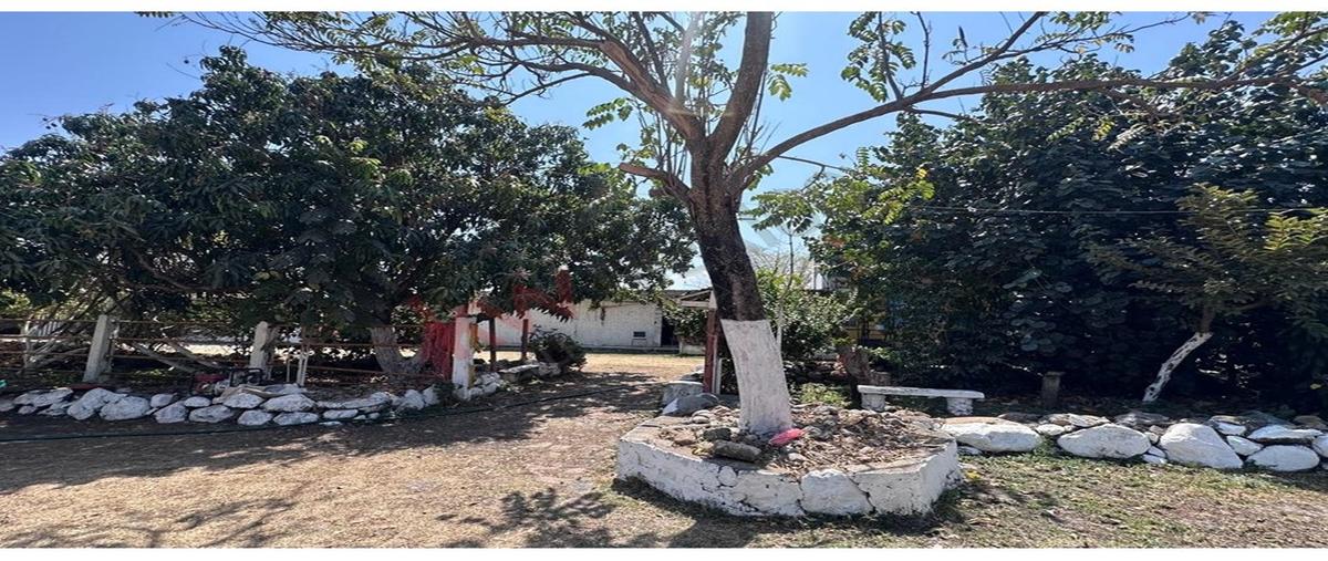 Foto de rancho en rancho san ignacio , tetecala, tetecala, morelos, 0 foto 04 Foto de rancho en venta en rancho san ignacio , tetecala, tetecala, morelos, 0 No. 04