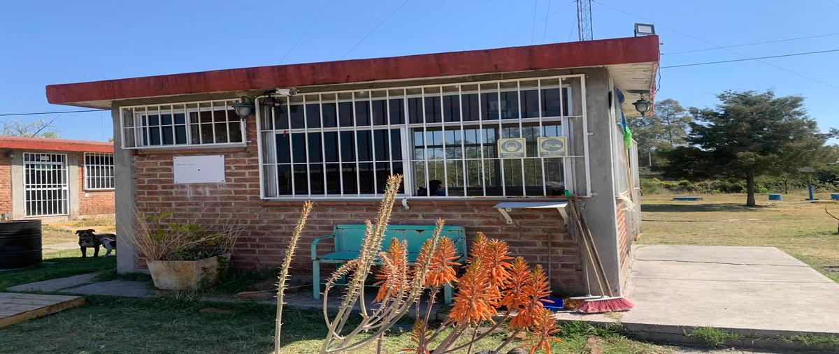 Foto de nave industrial en rancho san isidro , san isidro, salamanca, guanajuato, 30924188 foto 04 Foto de nave industrial en venta en rancho san isidro , san isidro, salamanca, guanajuato, 30924188 No. 04