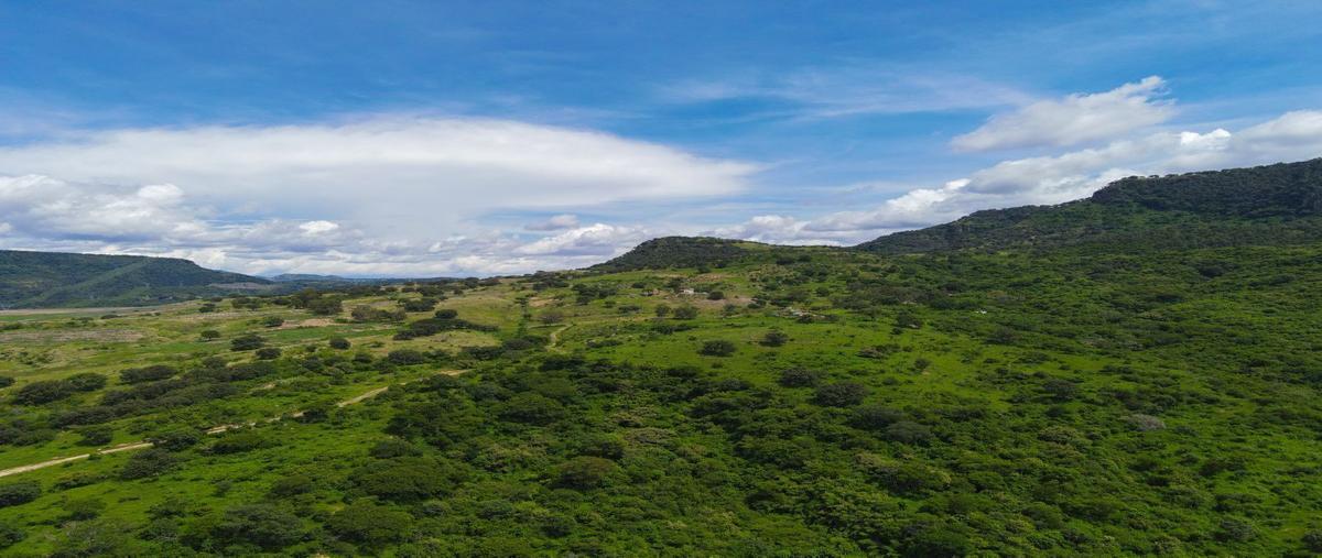 Foto de terreno habitacional en venta en rancho san jose , santa lucia, zapopan, jalisco, 29135653 No. 03