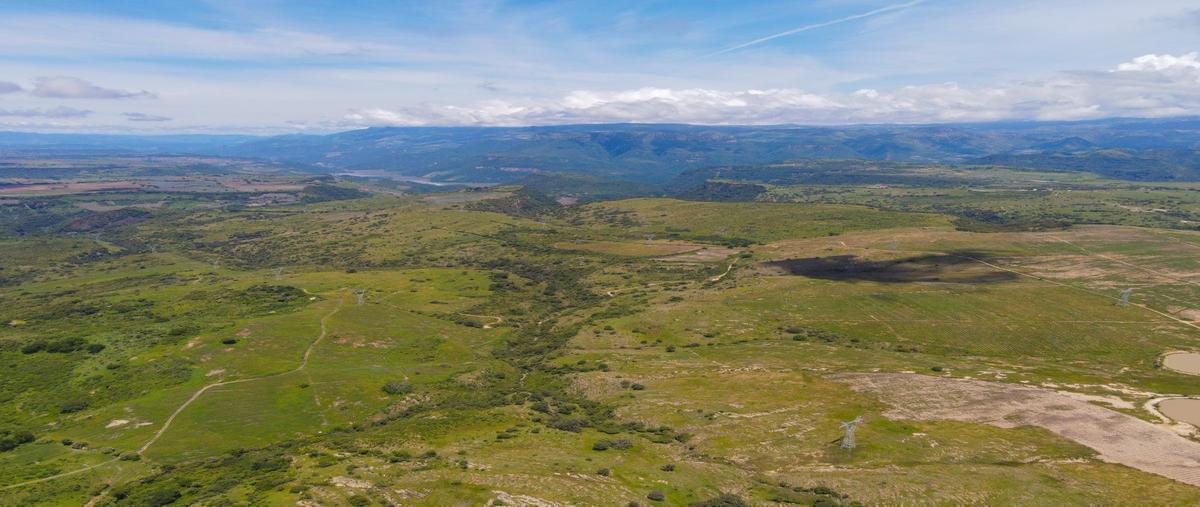 Foto de terreno habitacional en venta en rancho san jose , santa lucia, zapopan, jalisco, 29135653 No. 04