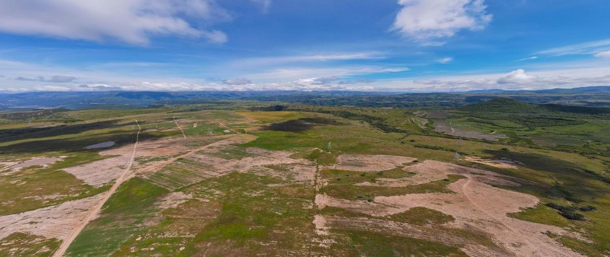 Foto de terreno habitacional en venta en rancho san jose , santa lucia, zapopan, jalisco, 29135653 No. 05