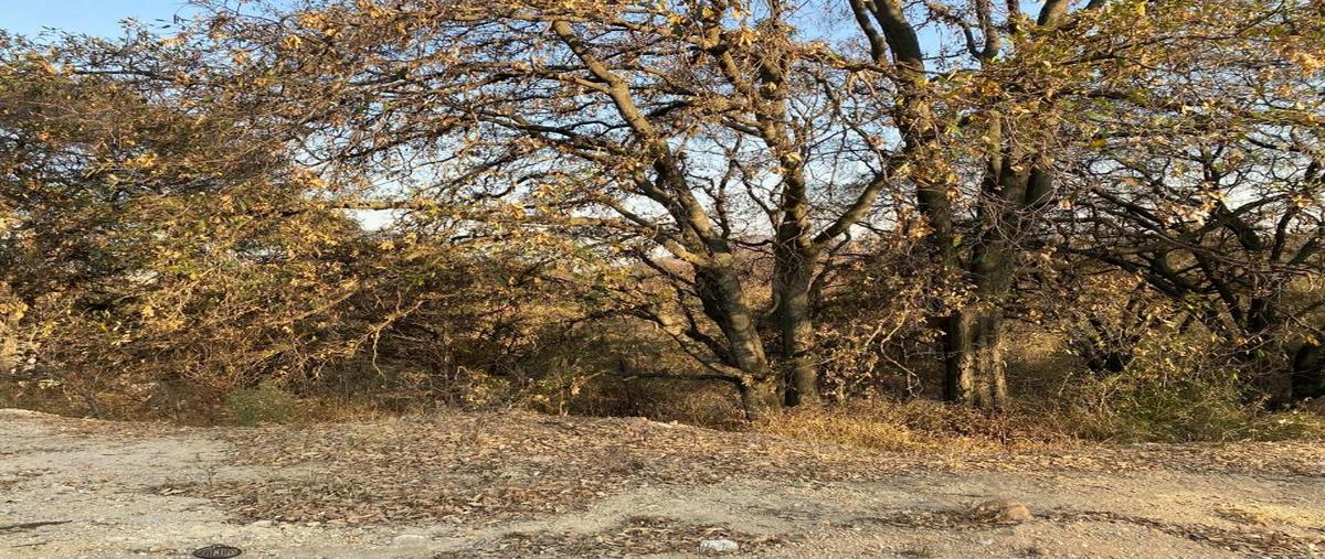 Foto de terreno habitacional en venta en rancho san juan 11, rancho san juan, atizapán de zaragoza, méxico, 27729924 No. 04