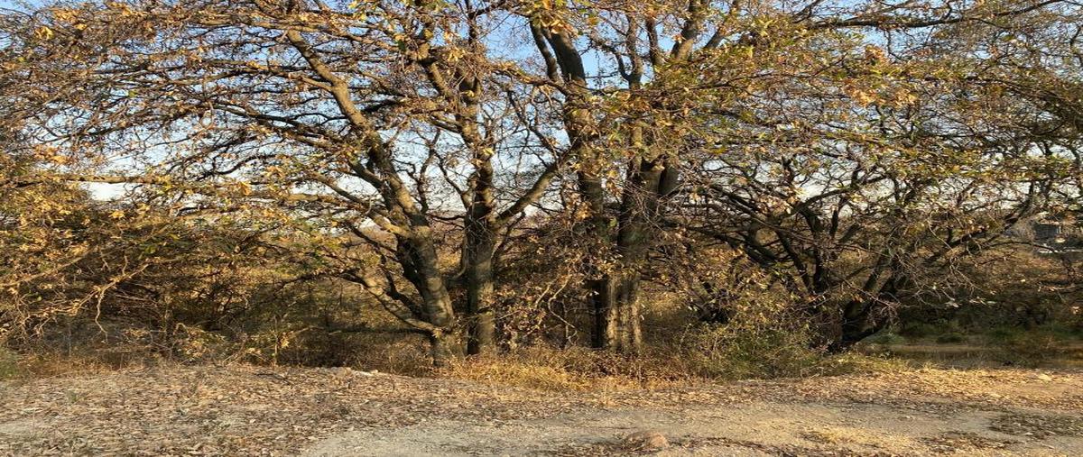 Foto de terreno habitacional en venta en rancho san juan 11, rancho san juan, atizapán de zaragoza, méxico, 27729924 No. 05