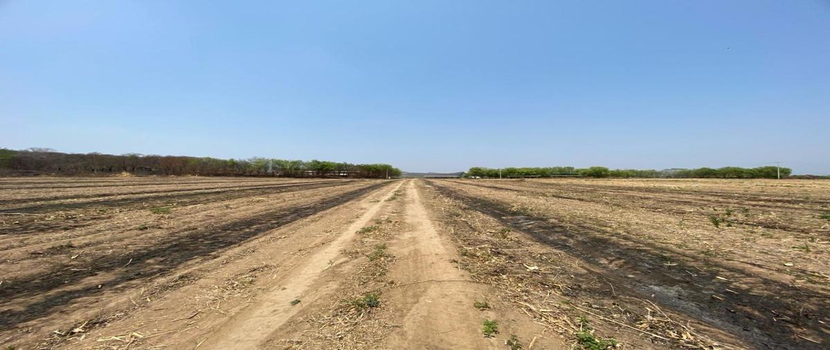 Foto de rancho en venta en rancho san juan , acalá centro, acala, chiapas, 28406647 No. 03