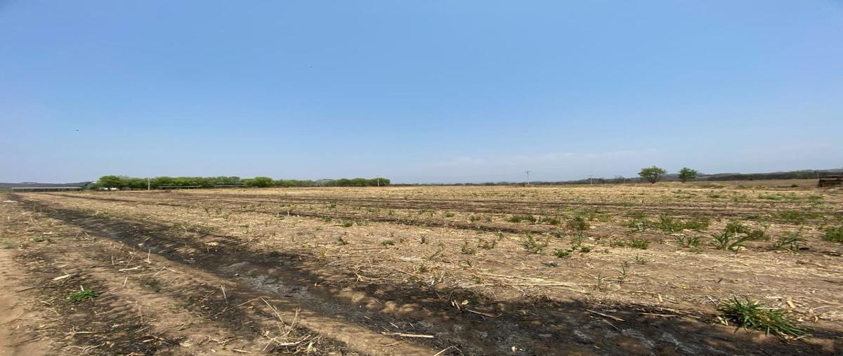 Foto de rancho en venta en rancho san juan , acalá centro, acala, chiapas, 28406647 No. 04