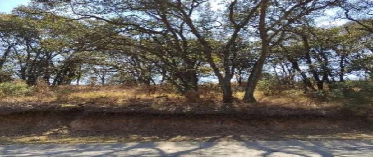 Foto de terreno habitacional en venta en  , rancho san juan, atizapán de zaragoza, méxico, 24762145 No. 03