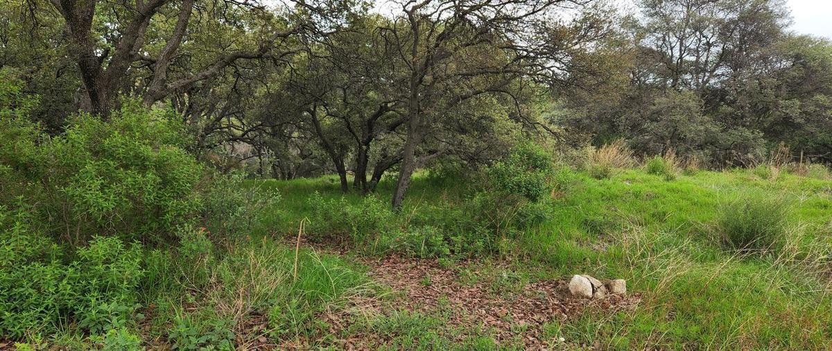 Foto de terreno habitacional en venta en  , rancho san juan, atizapán de zaragoza, méxico, 25233980 No. 03