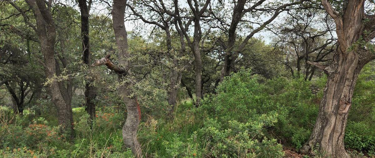 Foto de terreno habitacional en venta en  , rancho san juan, atizapán de zaragoza, méxico, 25233980 No. 04