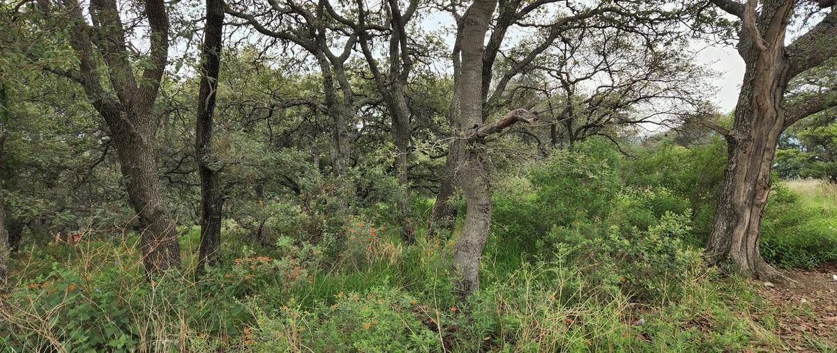 Foto de terreno habitacional en venta en  , rancho san juan, atizapán de zaragoza, méxico, 25233980 No. 05