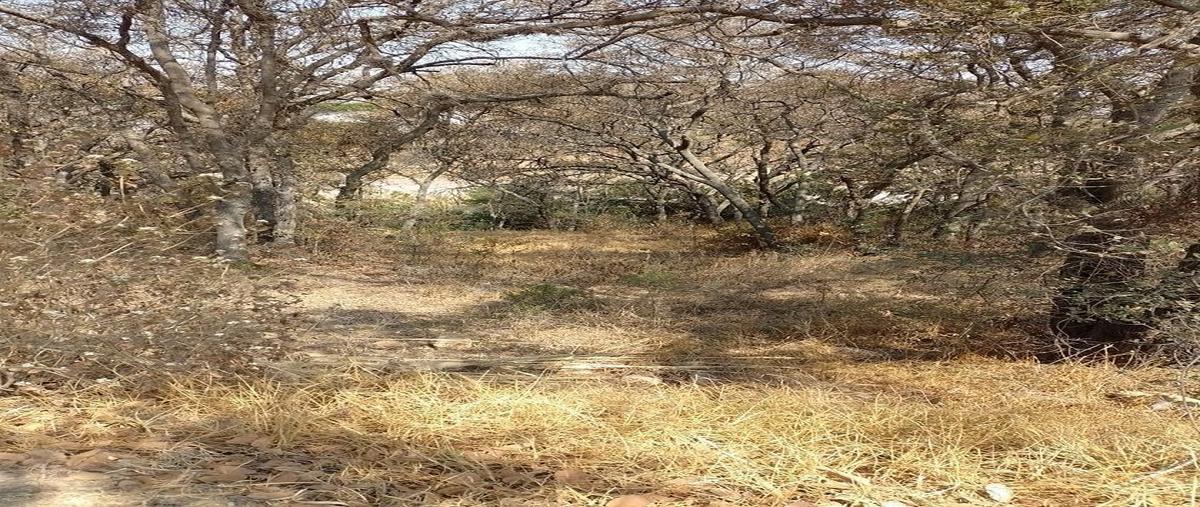 Foto de terreno habitacional en , rancho san juan, atizapán de zaragoza, méxico, 28016637 foto 02 Foto de terreno habitacional en venta en , rancho san juan, atizapán de zaragoza, méxico, 28016637 No. 02