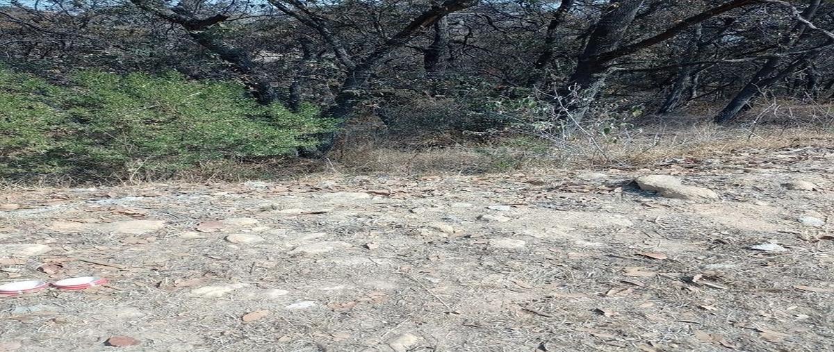 Foto de terreno habitacional en , rancho san juan, atizapán de zaragoza, méxico, 28016637 foto 03 Foto de terreno habitacional en venta en , rancho san juan, atizapán de zaragoza, méxico, 28016637 No. 03