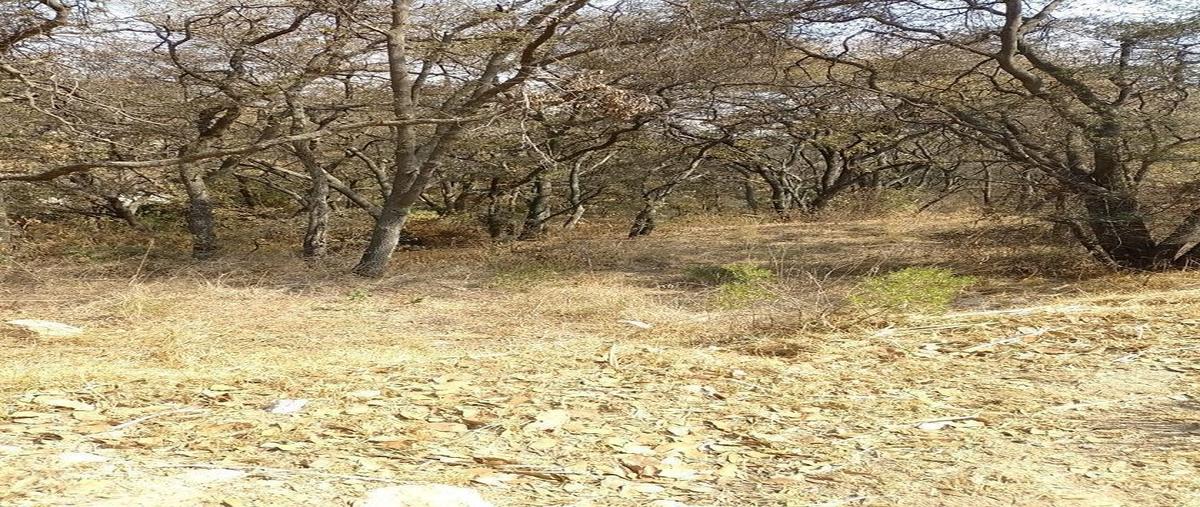 Foto de terreno habitacional en , rancho san juan, atizapán de zaragoza, méxico, 28016637 foto 04 Foto de terreno habitacional en venta en , rancho san juan, atizapán de zaragoza, méxico, 28016637 No. 04