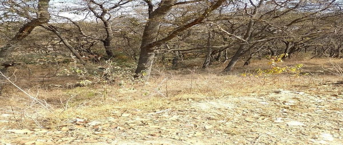 Foto de terreno habitacional en , rancho san juan, atizapán de zaragoza, méxico, 28016637 foto 05 Foto de terreno habitacional en venta en , rancho san juan, atizapán de zaragoza, méxico, 28016637 No. 05