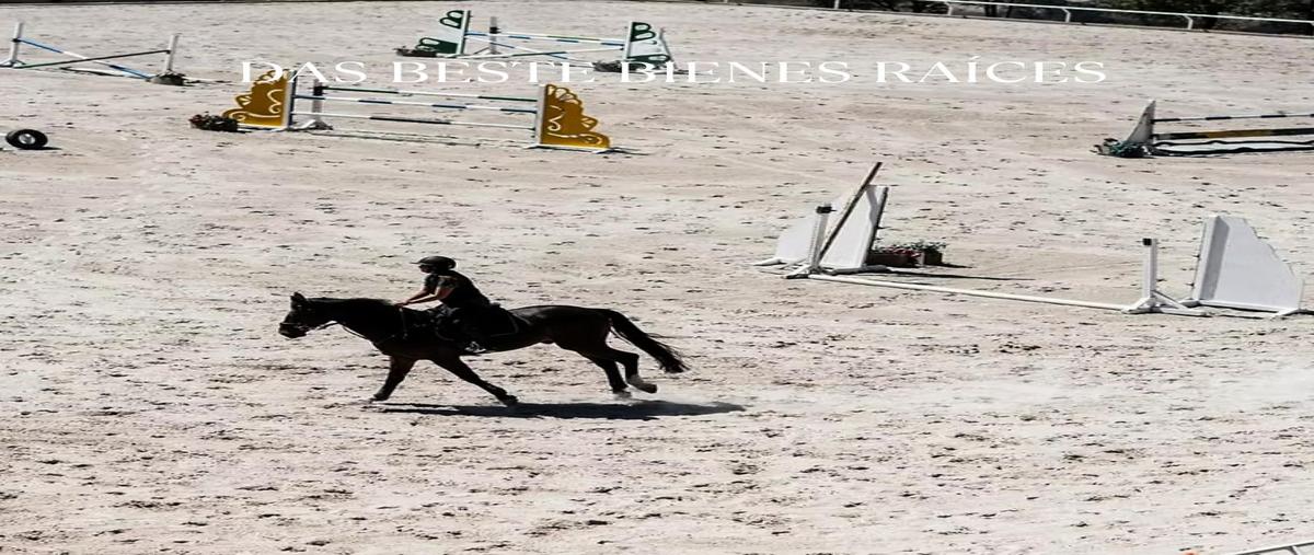 Foto de terreno habitacional en venta en  , rancho san juan, atizapán de zaragoza, méxico, 0 No. 05
