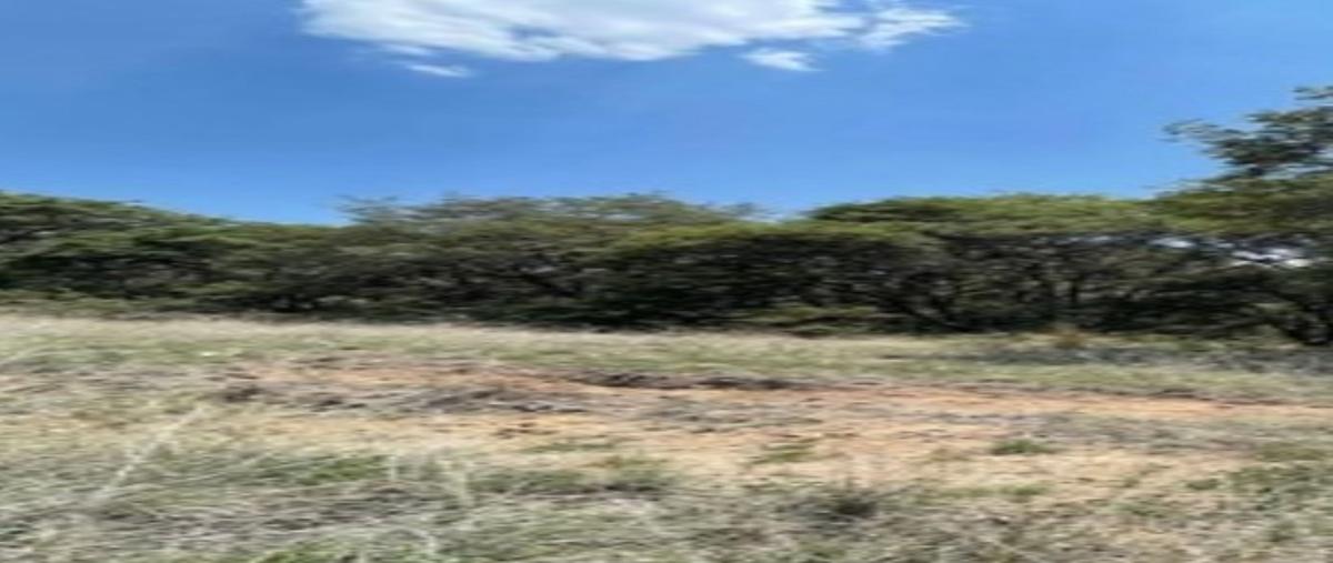 Foto de terreno habitacional en venta en rancho san juan , rancho san juan, atizapán de zaragoza, méxico, 0 No. 04
