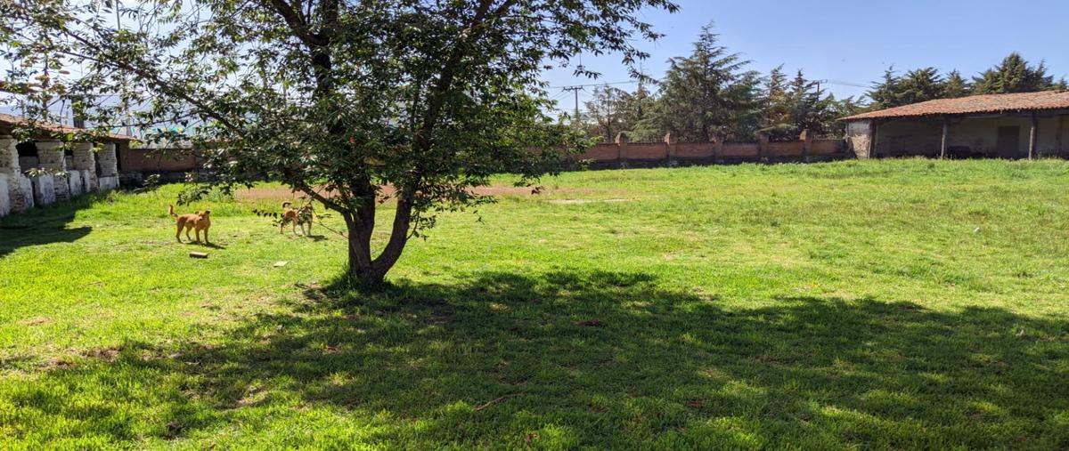 Foto de terreno habitacional en venta en  , rancho san nicolás, zinacantepec, méxico, 26177169 No. 04