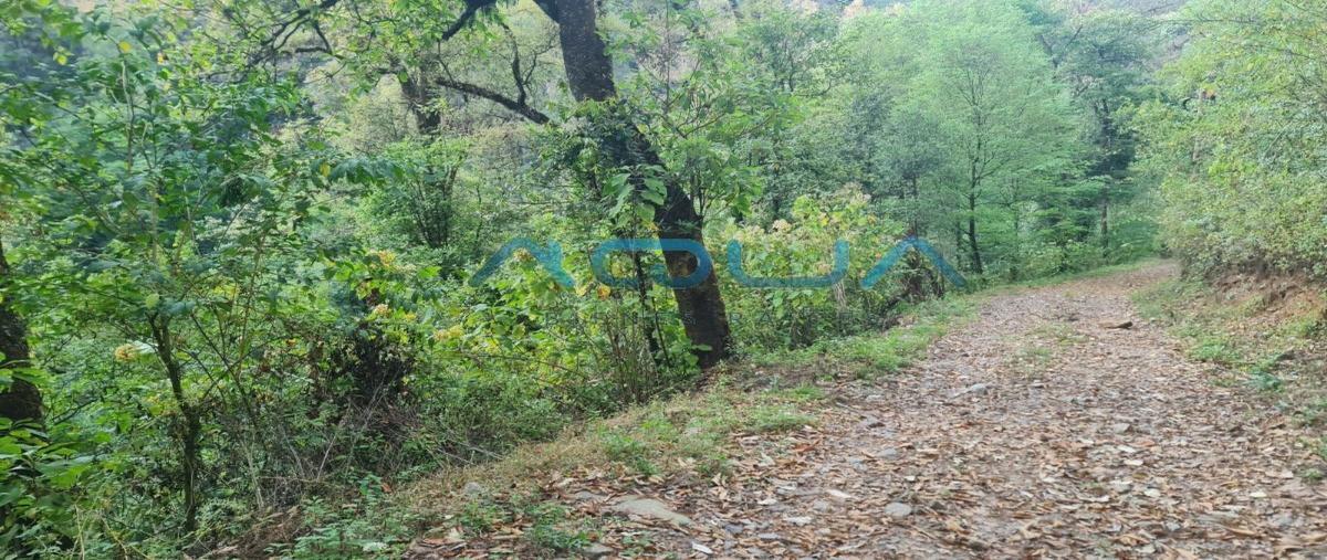 Foto de terreno habitacional en venta en rancho san simon , san simón el alto, valle de bravo, méxico, 27893409 No. 03