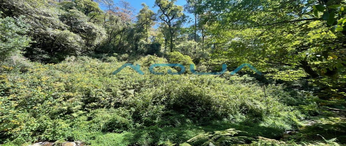 Foto de terreno habitacional en venta en rancho san simon , san simón el alto, valle de bravo, méxico, 27893409 No. 05